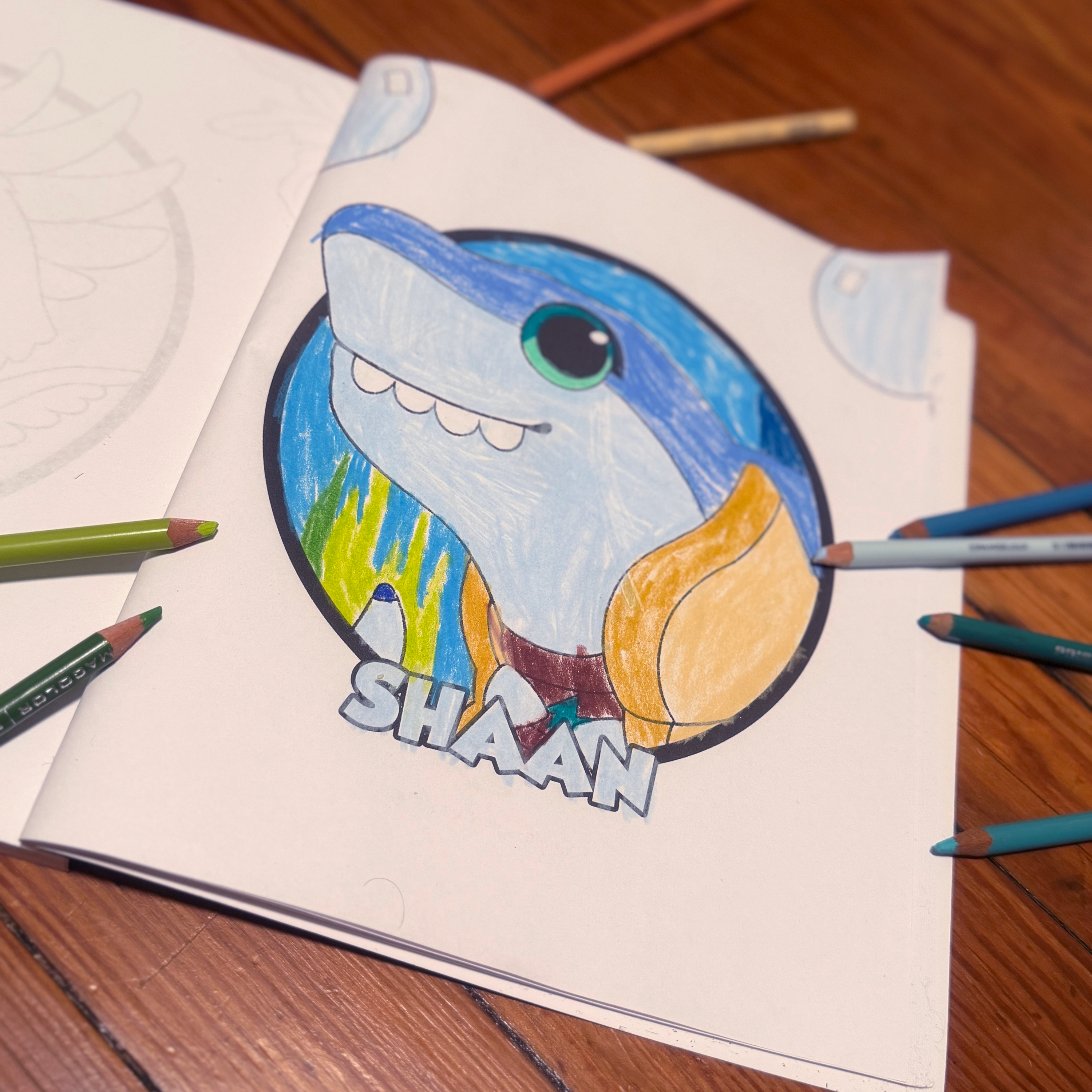 Zebonky Activity Book