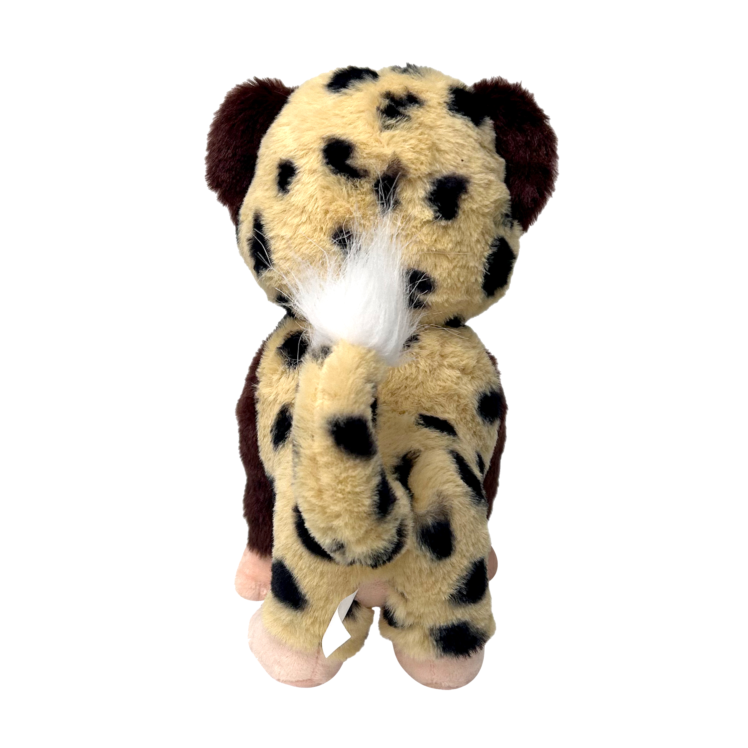 Charlie Chimpanzeetah